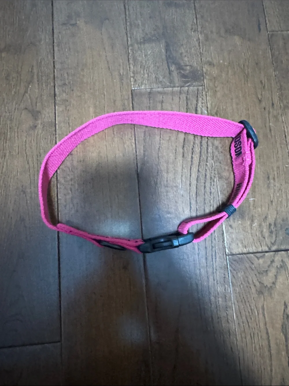 Harley-Davidson Hot Pink Adjustable Web Dog Collar with Black Buckle